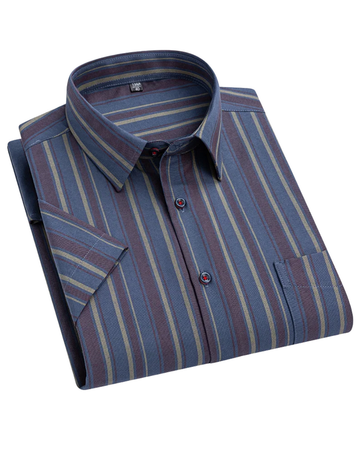 Short-Sleeved Cotton Shirt
